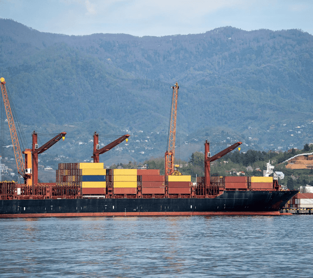 Container ship transporting cargo
