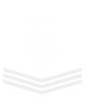 Top software developers