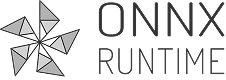 ONNX Runtime illustration